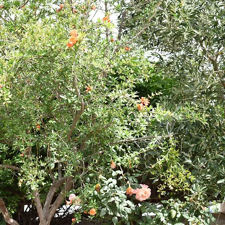 招待所 安德里尼宾馆 3*