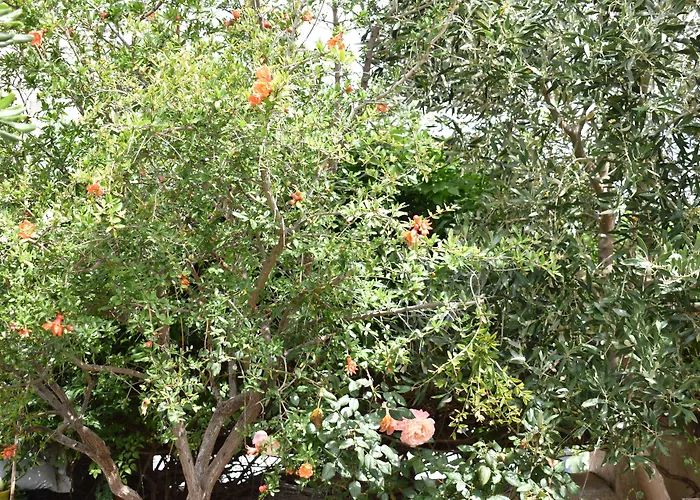 بيت ضيافة Andriani's 3*